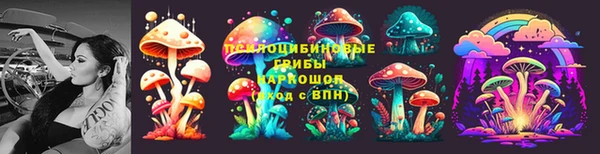 не бодяженный Иннополис