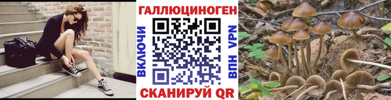 Галлюциногенные грибы MAGIC MUSHROOMS  что такое   Котельниково 